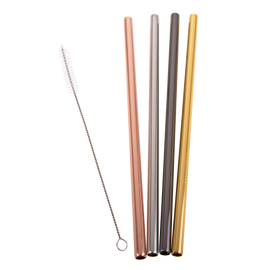 Appetito Stainless Steel Straight Smoothie Straws with Brush - Metallic (set of 4) - BentoBliss