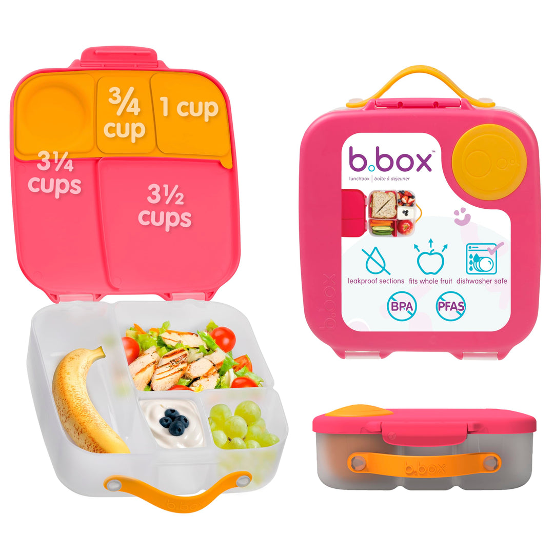 Can B.Box go in the Dishwasher? Safe Cleaning Tips You Should Know