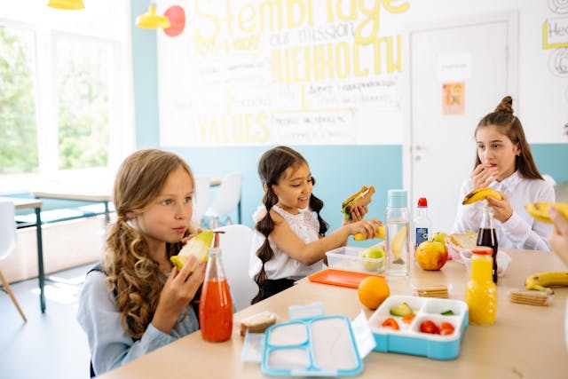 Quick & Easy Kids Lunch Box Ideas - Top 30 Recipes - BentoBliss