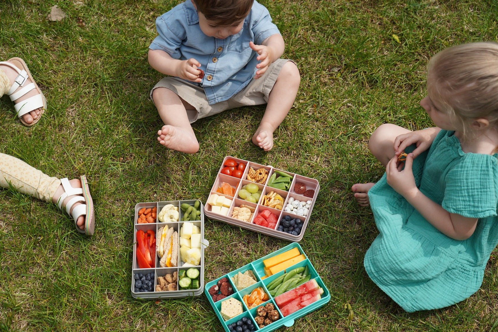 Shop Melii Snackle Box, Lunch Box & Containers at Best Price - BentoBliss