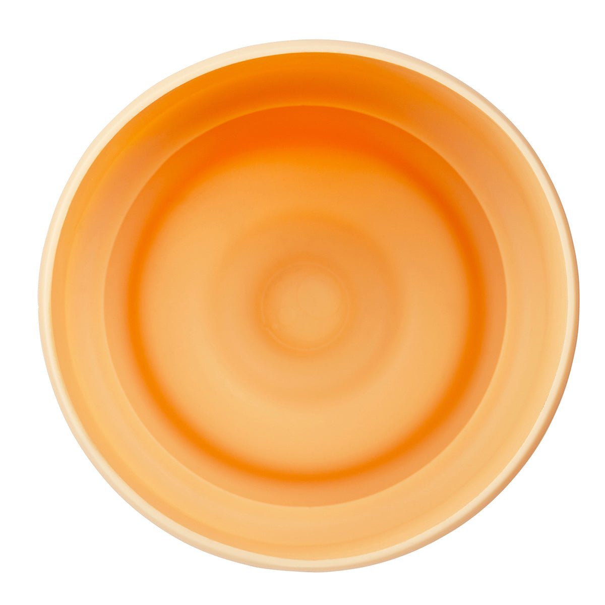 B.Box 1L Flip Top Bottle Bumper - BentoBliss