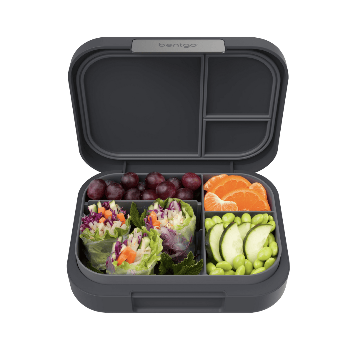 Bentgo Modern Lunch Box - BentoBliss