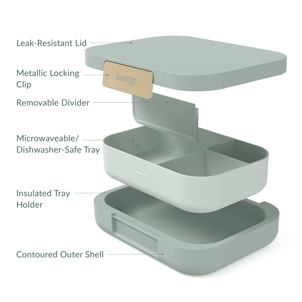 Bentgo Modern Lunch Box - BentoBliss