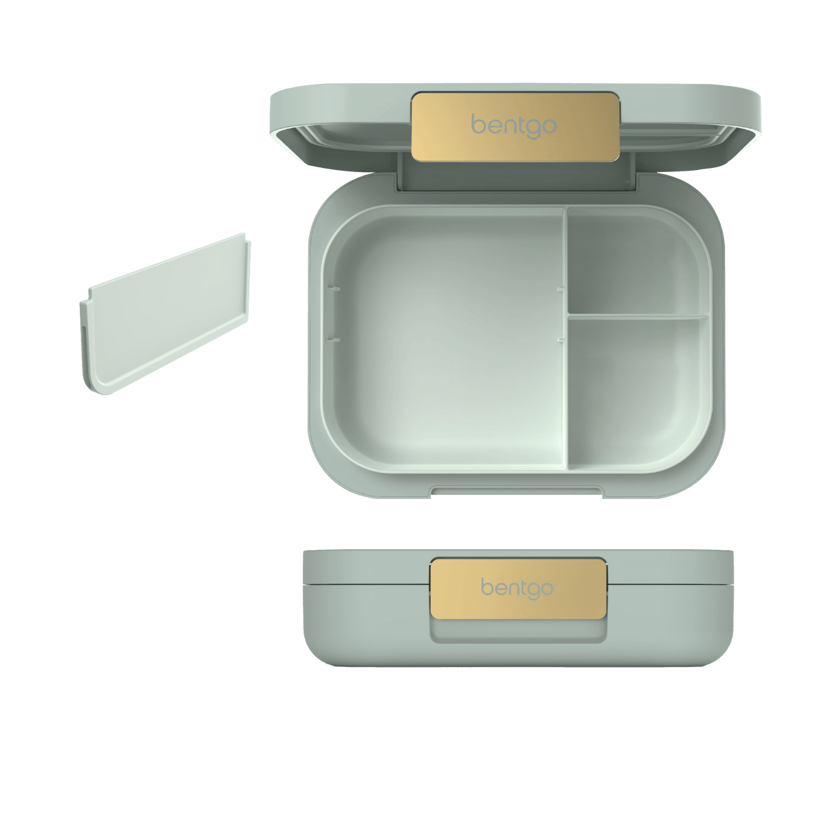 Bentgo Modern Lunch Box - BentoBliss