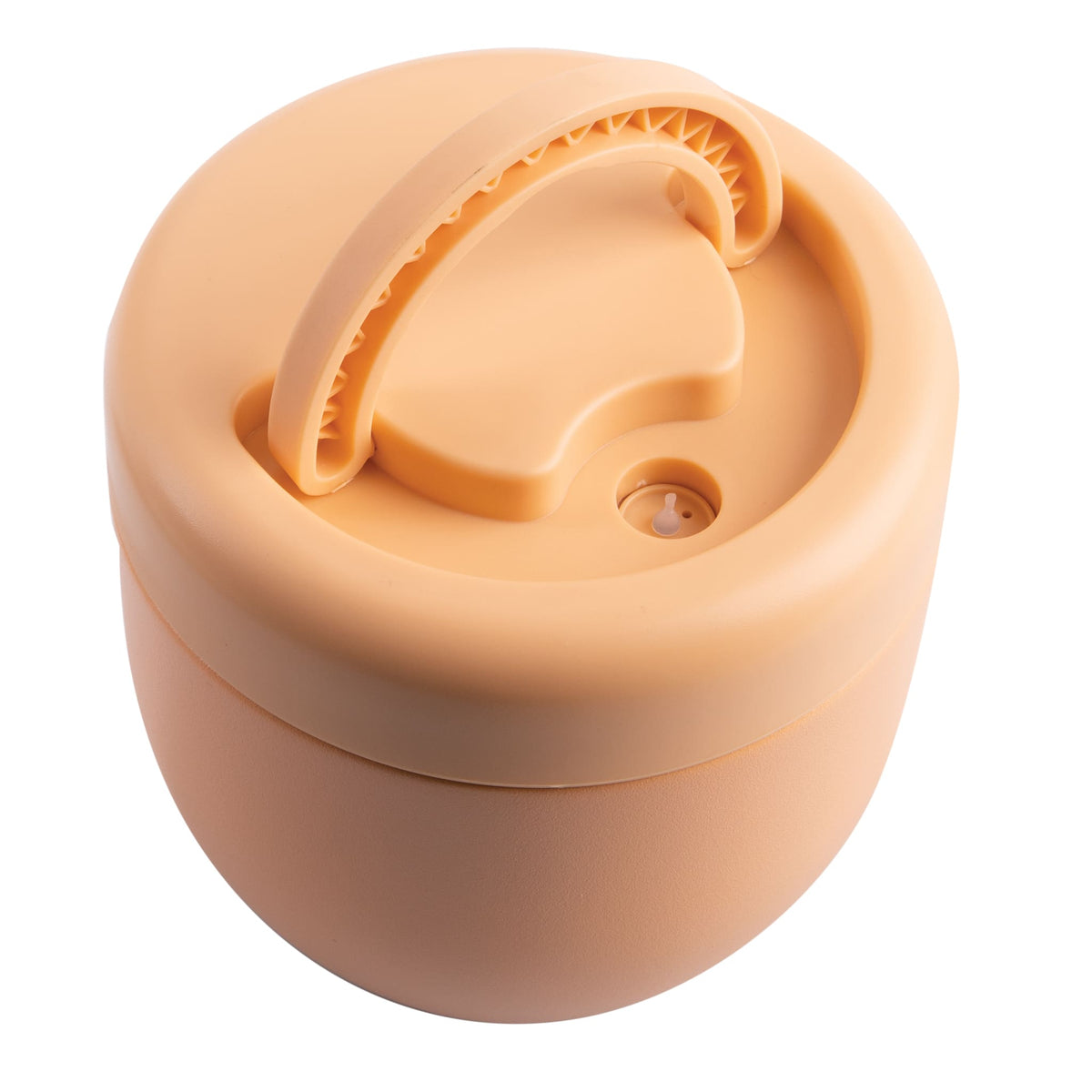 Oasis Insulated Food Pod 470ml - Rockmelon - BentoBliss