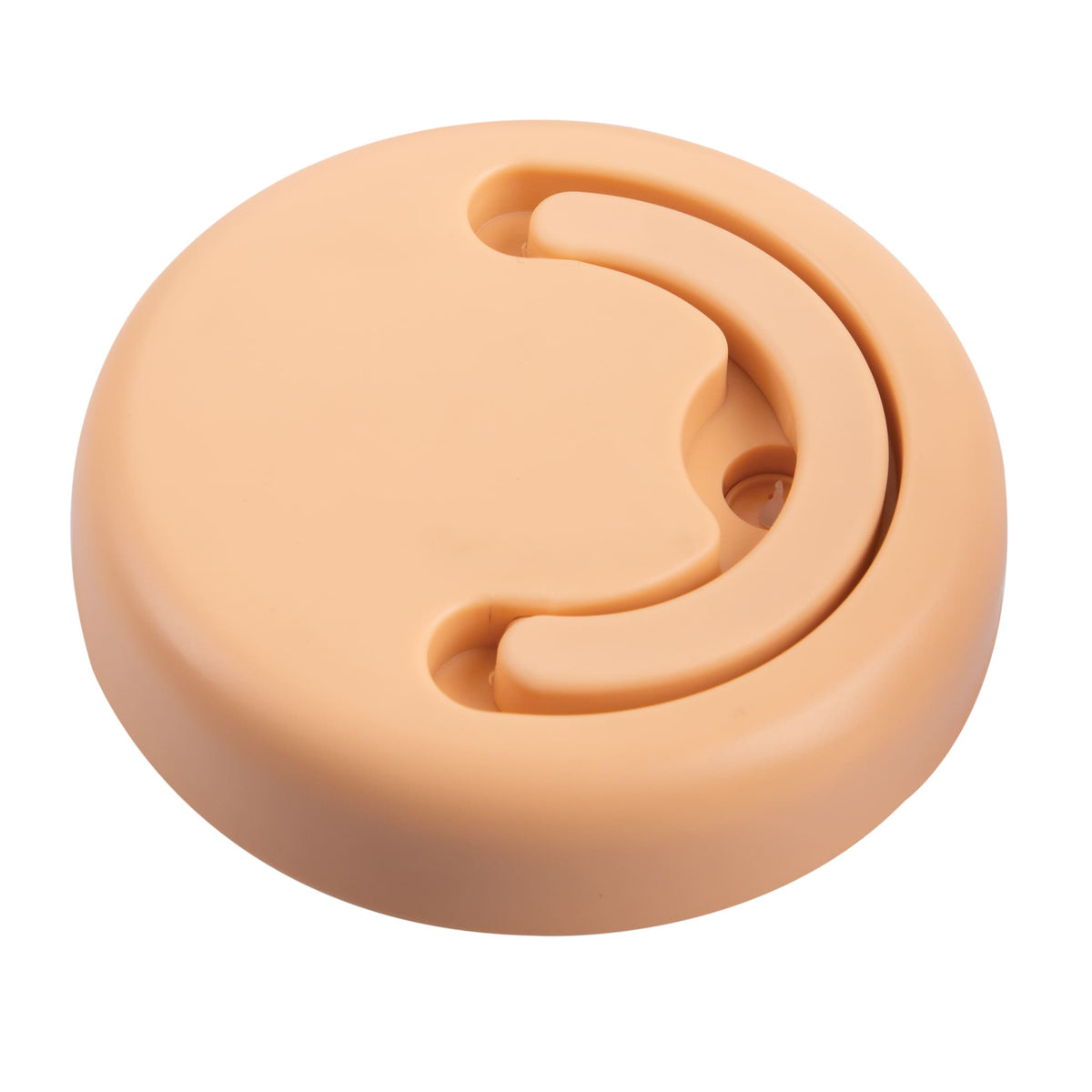 Oasis Insulated Food Pod 470ml - Rockmelon - BentoBliss
