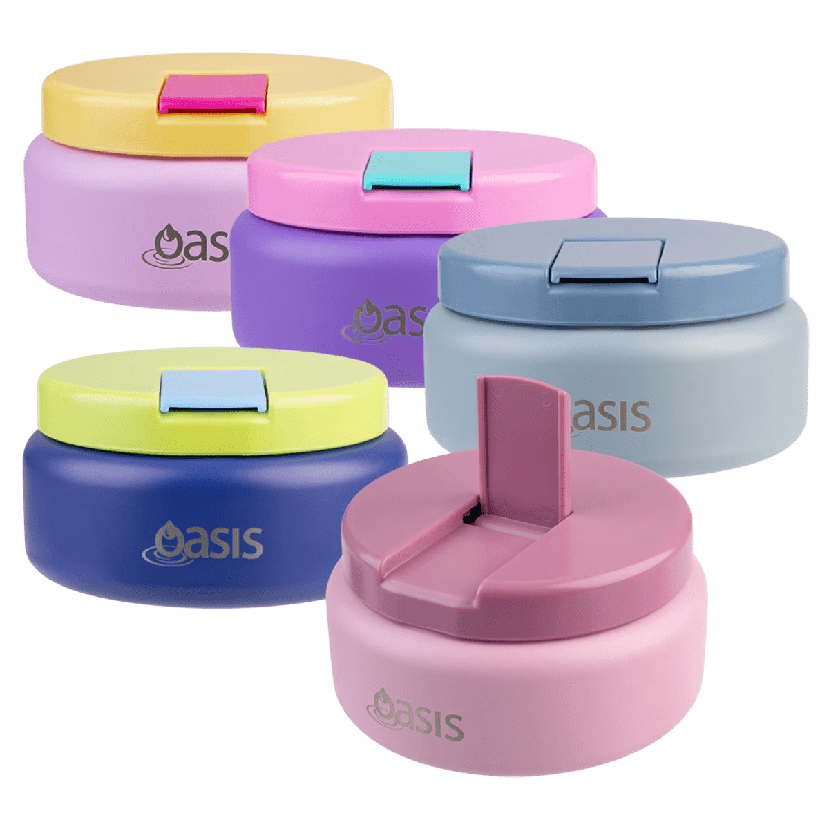 Oasis Insulated Food Flask 230ml - BentoBliss