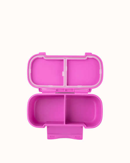 Fuchsia 03