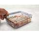 Joie 4 Compartment Clear Bento Random Colour