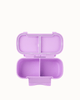 Lilac 09