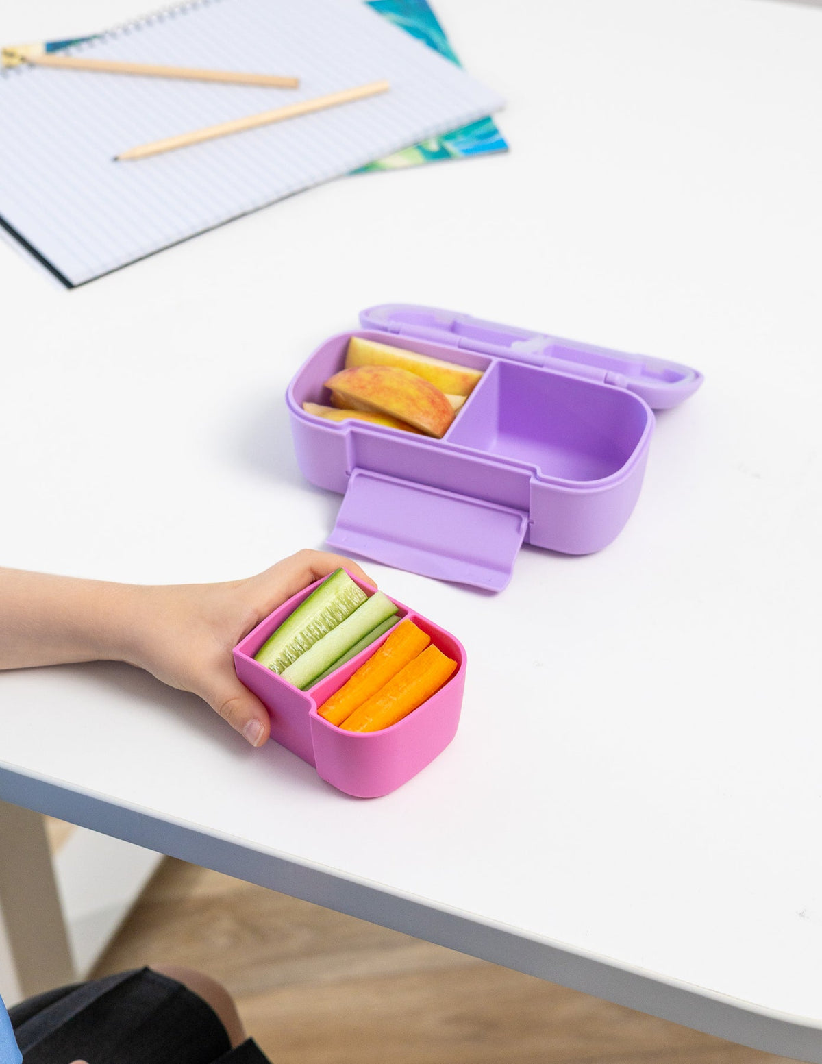 Montiico Silicone Snack Tray - BentoBliss