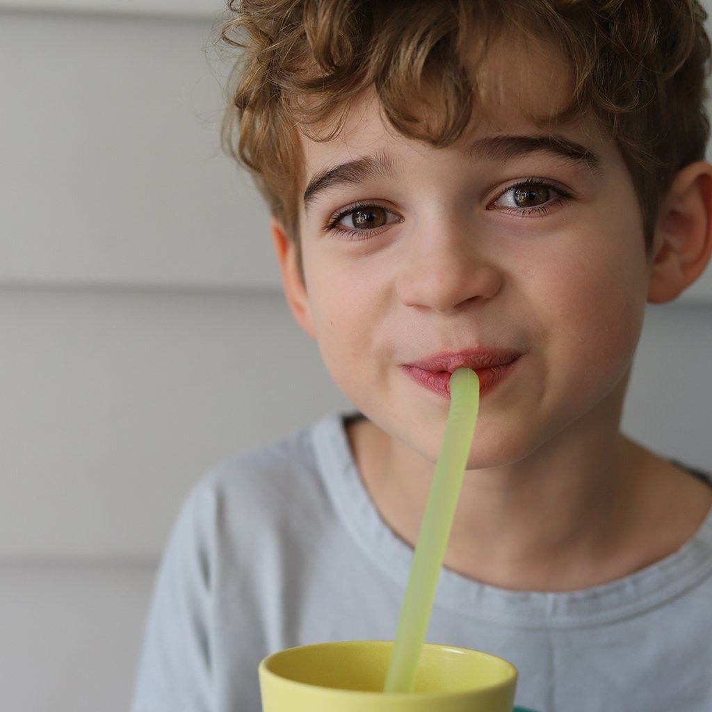 B.Box Reusable Silicone Straws - Very Berry - BentoBliss