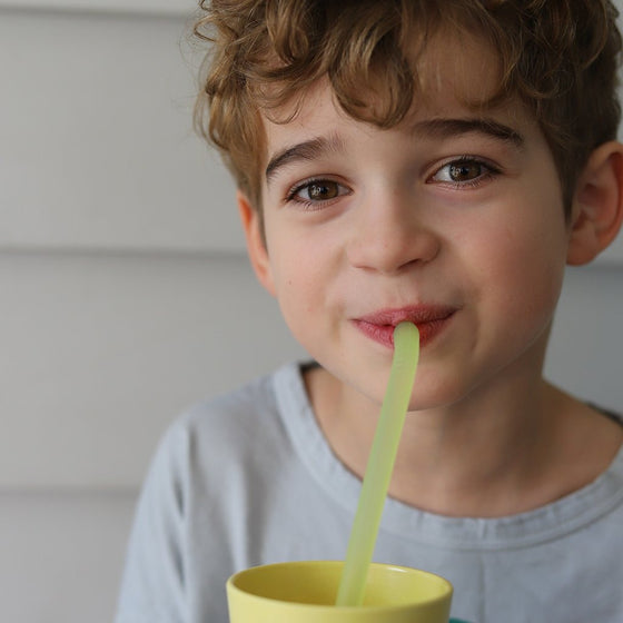 B.Box Reusable Silicone Straws - Very Berry