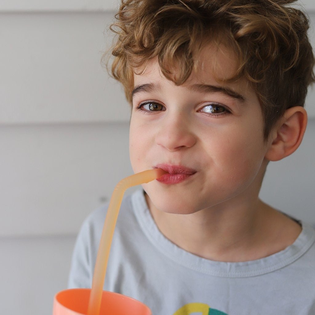 B.Box Reusable Silicone Straws - Very Berry - BentoBliss