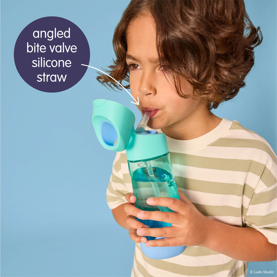 B.Box Tritan Drink Bottle 450ml - Bingo Bluey Playtime