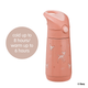 B.Box Insulated Drink Bottle 350ml - Bambi - BentoBliss