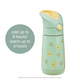 B.Box Insulated Drink Bottle 350ml - Winnie The Pooh - BentoBliss
