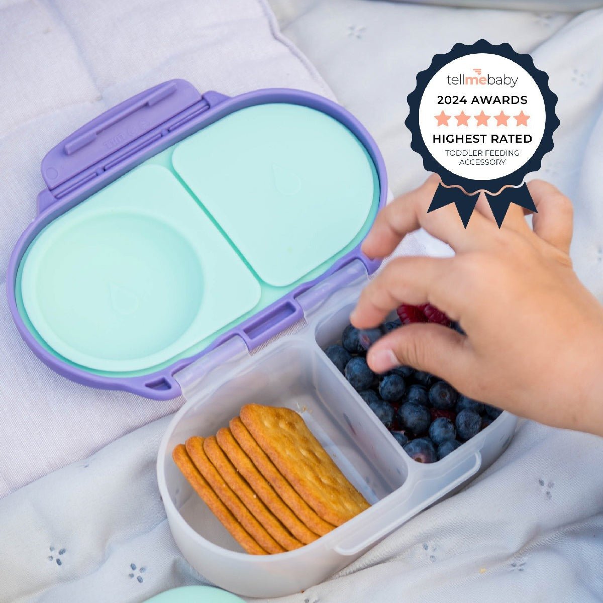 B.Box Snackbox - Lilac Pop - BentoBliss