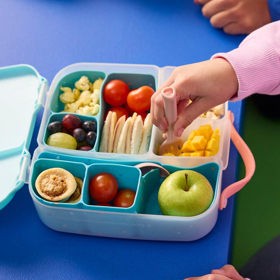 B.Box Silicone Bento Buddy - Lunchbox - BentoBliss