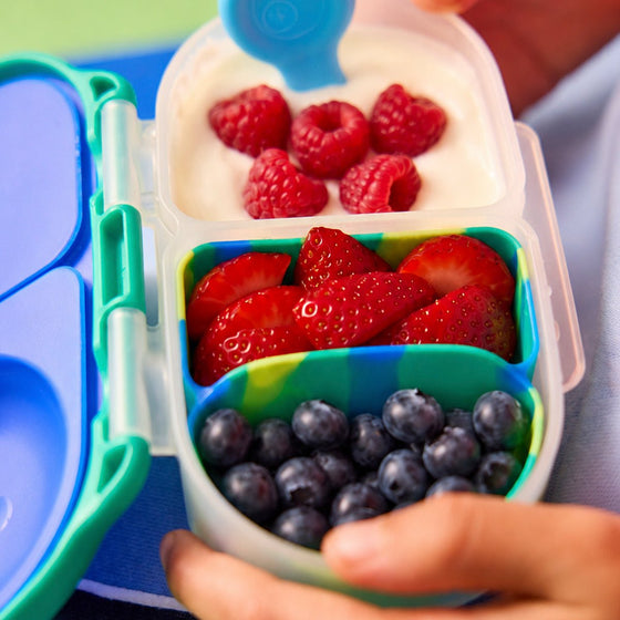 B.Box Silicone Bento Buddy - Snackbox - Recharge