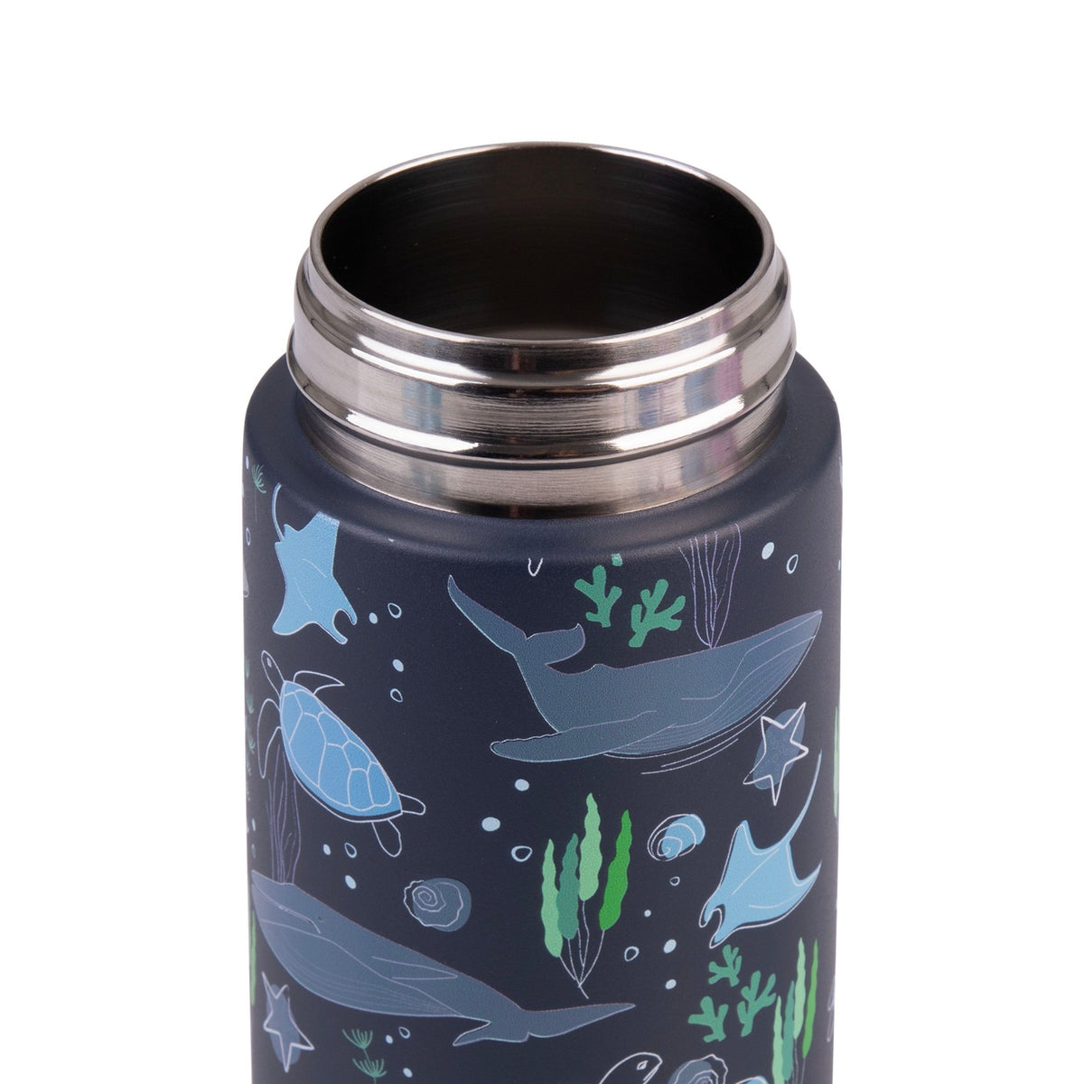 Oasis Stainless Steel Double Wall Insulated Kid's Drink Bottle W/Sipper Straw 550ML Ocean Friends- BentoBliss